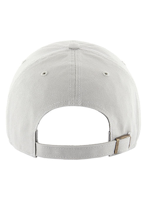 Michigan Clean Up Hat by '47 Brand - Back View