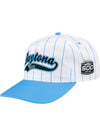 2026 Daytona 500 Baseball Tailsweep Stripe Hat - Angled Left Side View