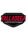 Talladega Foil Track Magnet