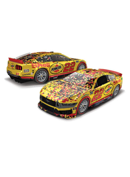 ルーニーテューンズNASCAR公認 1/24scale❹ ルーニーテューンズNASCAR公認 1/24scale❹ ルーニーテューンズ