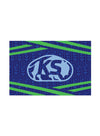 Kansas Speedway Bison 2x3 Magnet