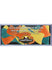 2025 Phoenix Champ Weekend Acrylic Confetti Ticket