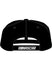 Illinois 300 Limited Edition Hat - Back view