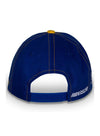 Youth Chase Elliott Element Hat in Yellow and Blue - Back View