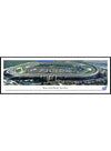 Homestead-Miami Speedway Standard Frame Panoramic Photo