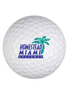 Homestead-Miami Speedway Golf Ball